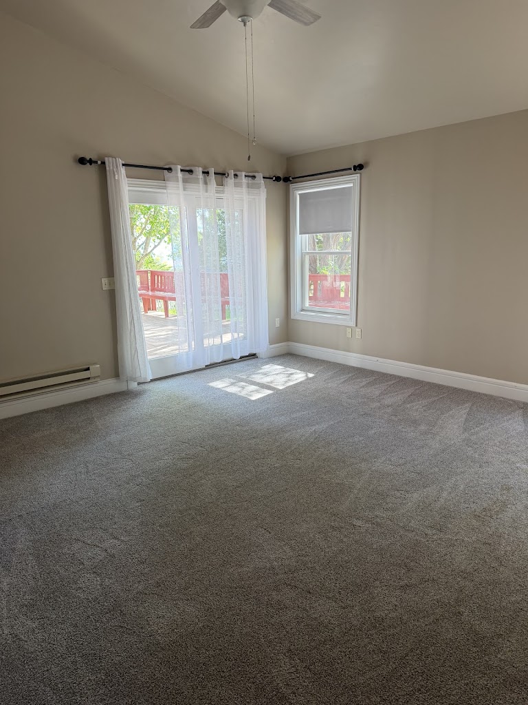 Empty carpeted room with vacuum lines and sunlight beside a sliding glass door and window
